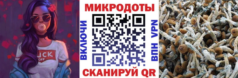 Галлюциногенные грибы GOLDEN TEACHER  Белая Холуница 